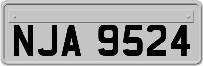 NJA9524