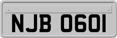 NJB0601
