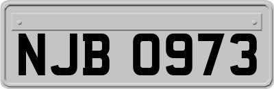 NJB0973