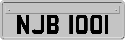 NJB1001