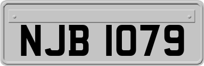 NJB1079