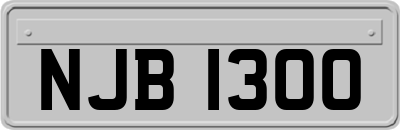 NJB1300