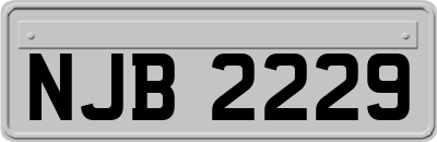 NJB2229