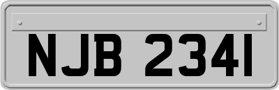 NJB2341