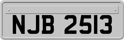 NJB2513