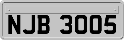 NJB3005