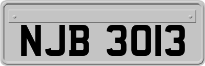 NJB3013