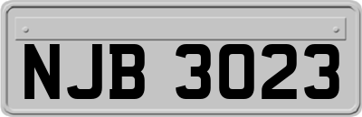 NJB3023