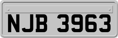 NJB3963