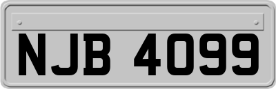 NJB4099