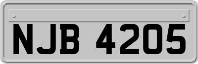 NJB4205