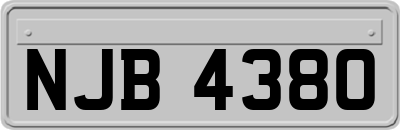 NJB4380