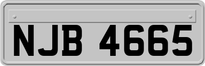 NJB4665