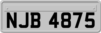 NJB4875