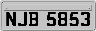 NJB5853