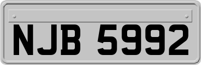 NJB5992