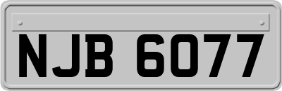 NJB6077
