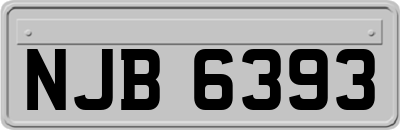 NJB6393