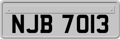 NJB7013