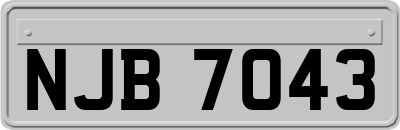 NJB7043