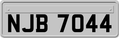 NJB7044