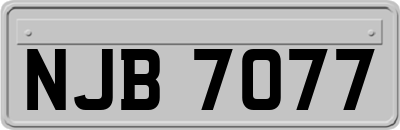 NJB7077
