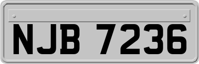 NJB7236