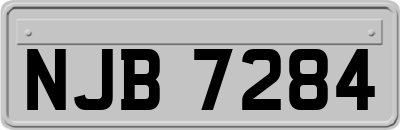 NJB7284