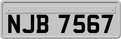NJB7567