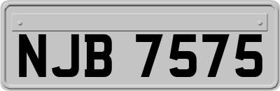 NJB7575