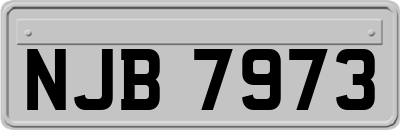 NJB7973