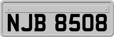 NJB8508