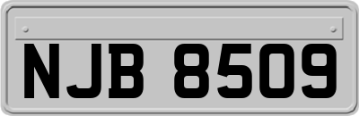 NJB8509