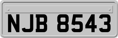 NJB8543