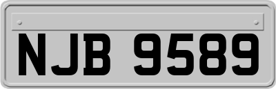 NJB9589