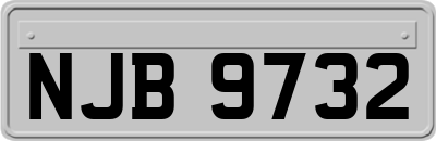 NJB9732