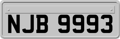 NJB9993