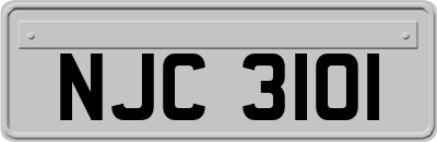 NJC3101