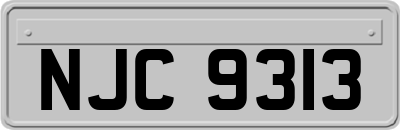 NJC9313