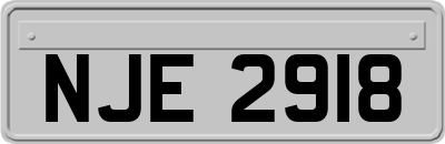 NJE2918