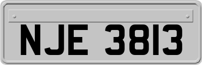NJE3813