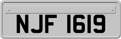 NJF1619