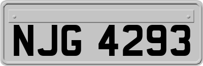 NJG4293