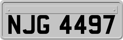 NJG4497