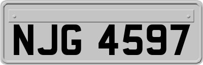 NJG4597