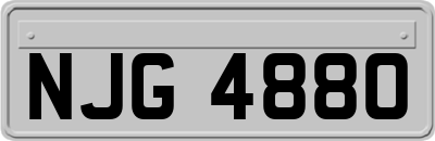 NJG4880