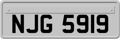 NJG5919