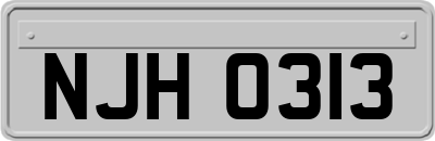 NJH0313