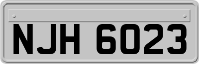NJH6023