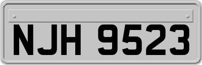 NJH9523